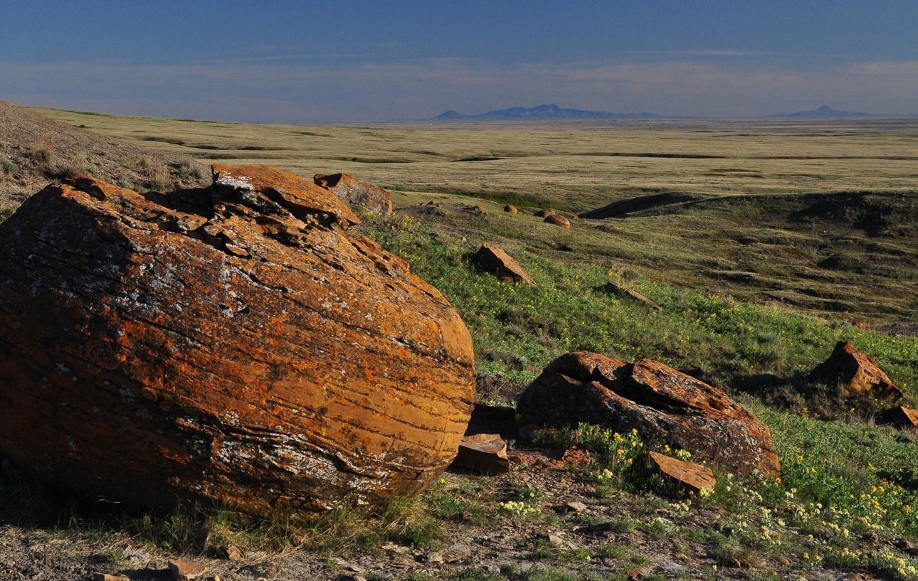 Red Rock Prairie by Arnold Janz